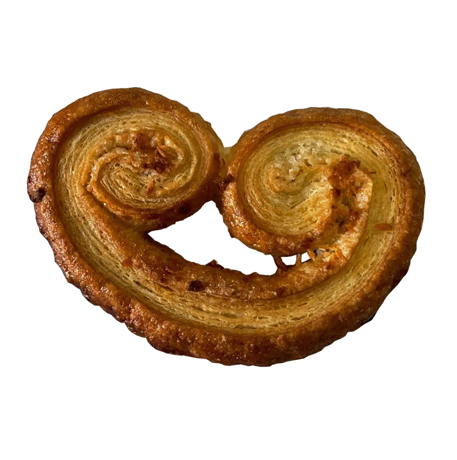 palmier-coco-2