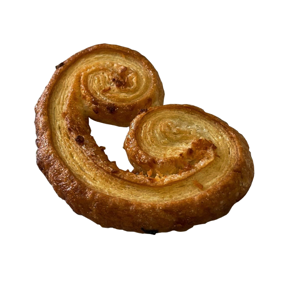 palmier-coco-1